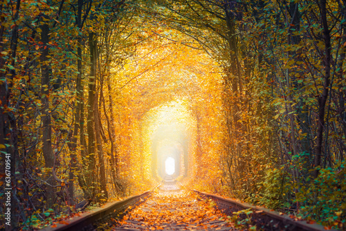 Obraz na płótnie Fall season landscape - Fantastic Autumn Trees Tunnel with old railway - Tunnel of Love. Natural tunnel of love formed by trees. w salonie