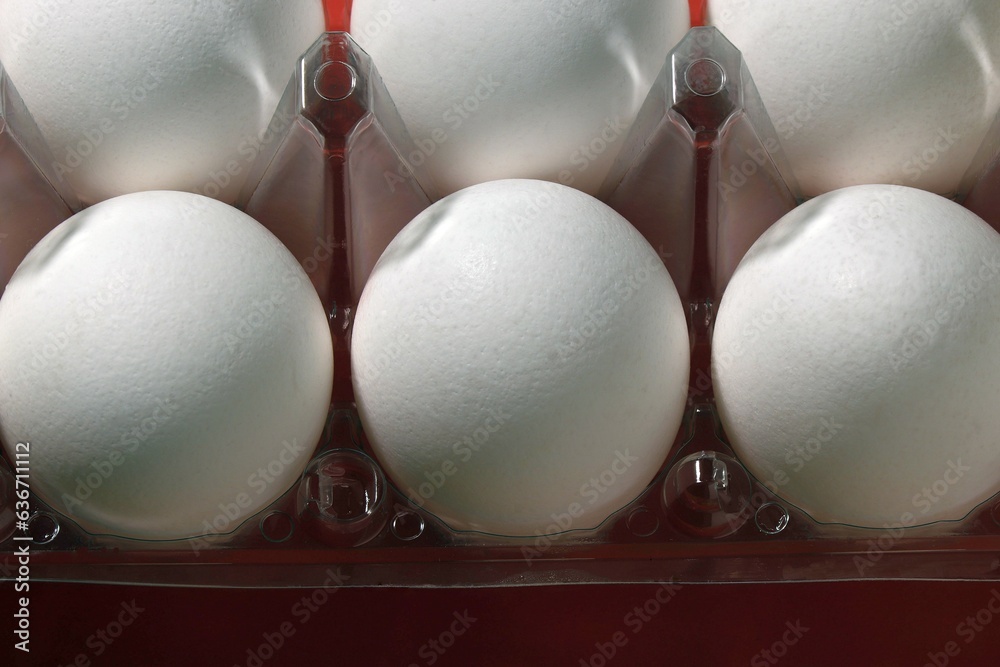 Chicken eggs in a plastic container. Chicken eggs in a plastic container.