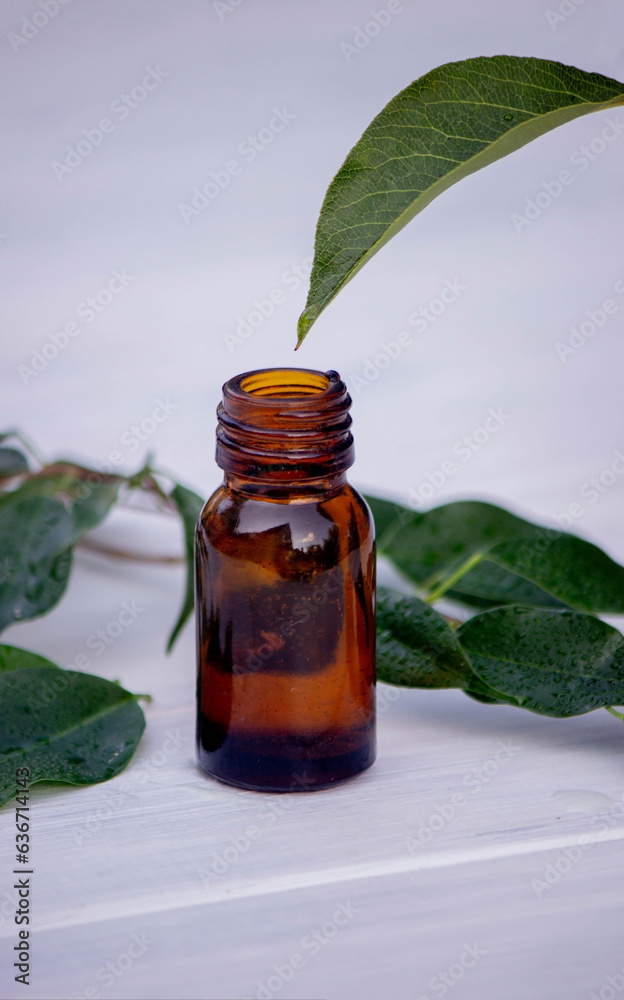 herbal essential oil in a small bottle. Selective focus. herbal essential oil in a small bottle. Selective focus.