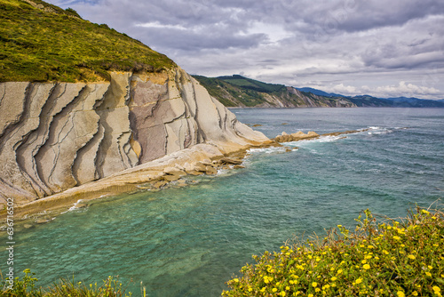 the bay with the straight steep sedimentary rocks of Zumaia flysch with yellow flowers in the foreground photo