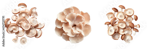 Top view of sliced fresh mushrooms arranged on a transparent background