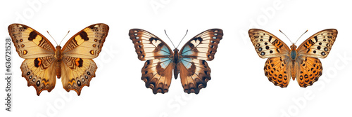 Brown butterfly in solitude against transparent background