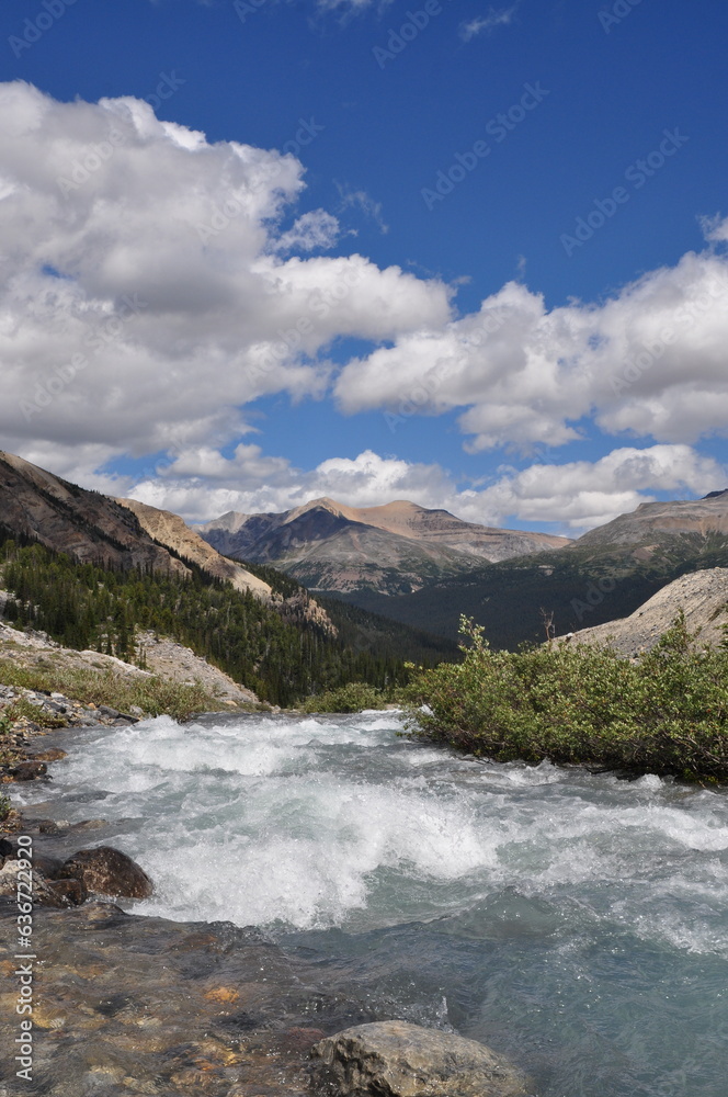 Rocky mountains with glacier river. Near Bow Glacier Falls in Banff, Alberta Canada.