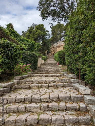 Stairway steps in a garden