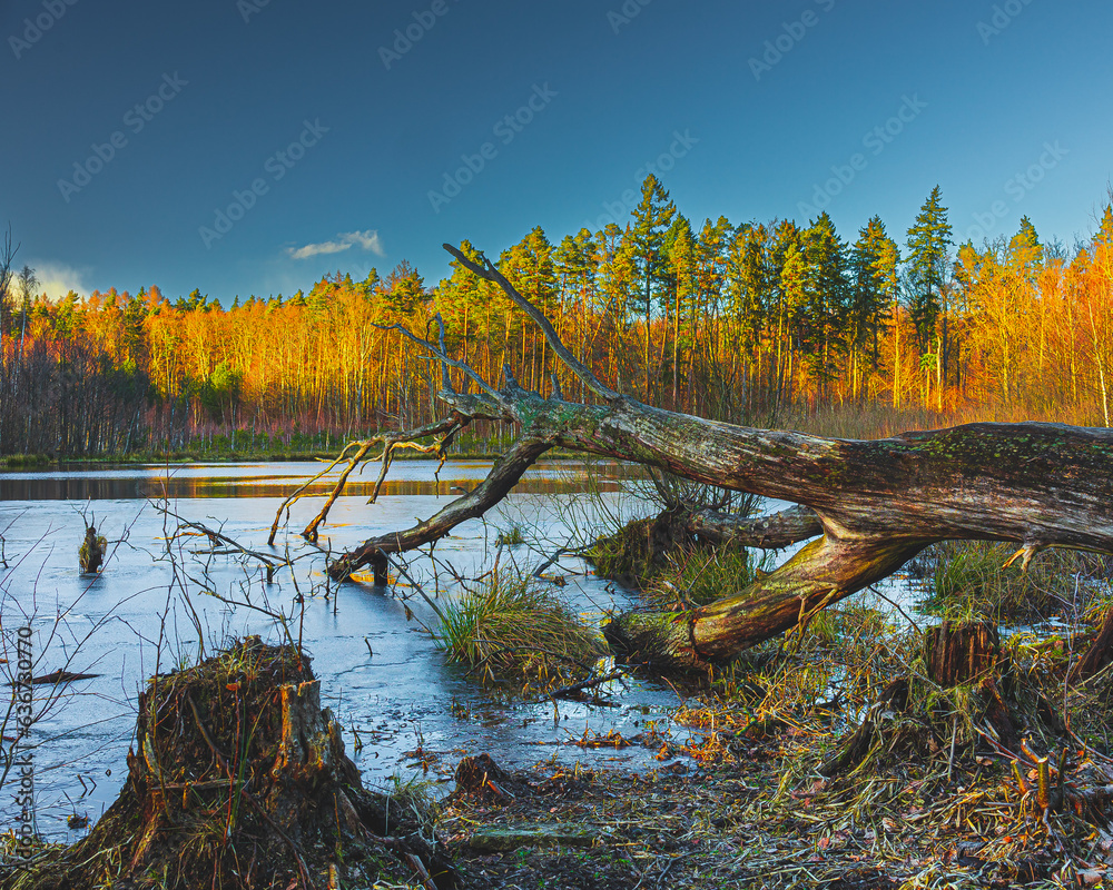 Jezioro gdzies na Kaszubach