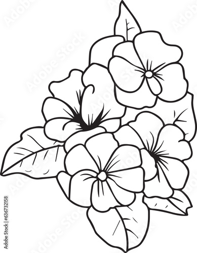 Delicate primrose tattoo. Primrose vector illustration, beautiful Preciosa flower bouquet, hand-drawn coloring pages, and book of artistic, blossom flowers primrose, isolated on a white background