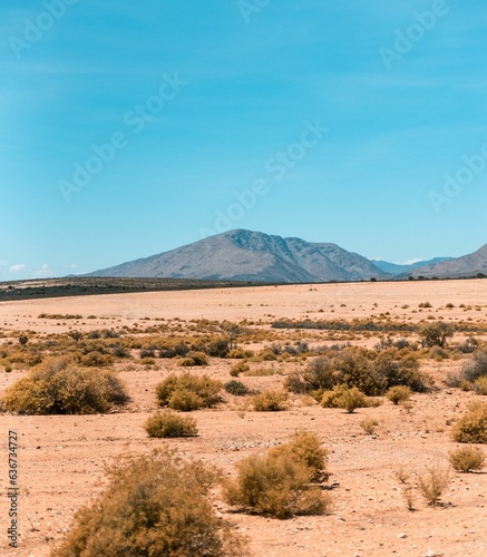 Scenic landscape featuring a dry valley and mountains under a blue sky in the Karoo, South Africa