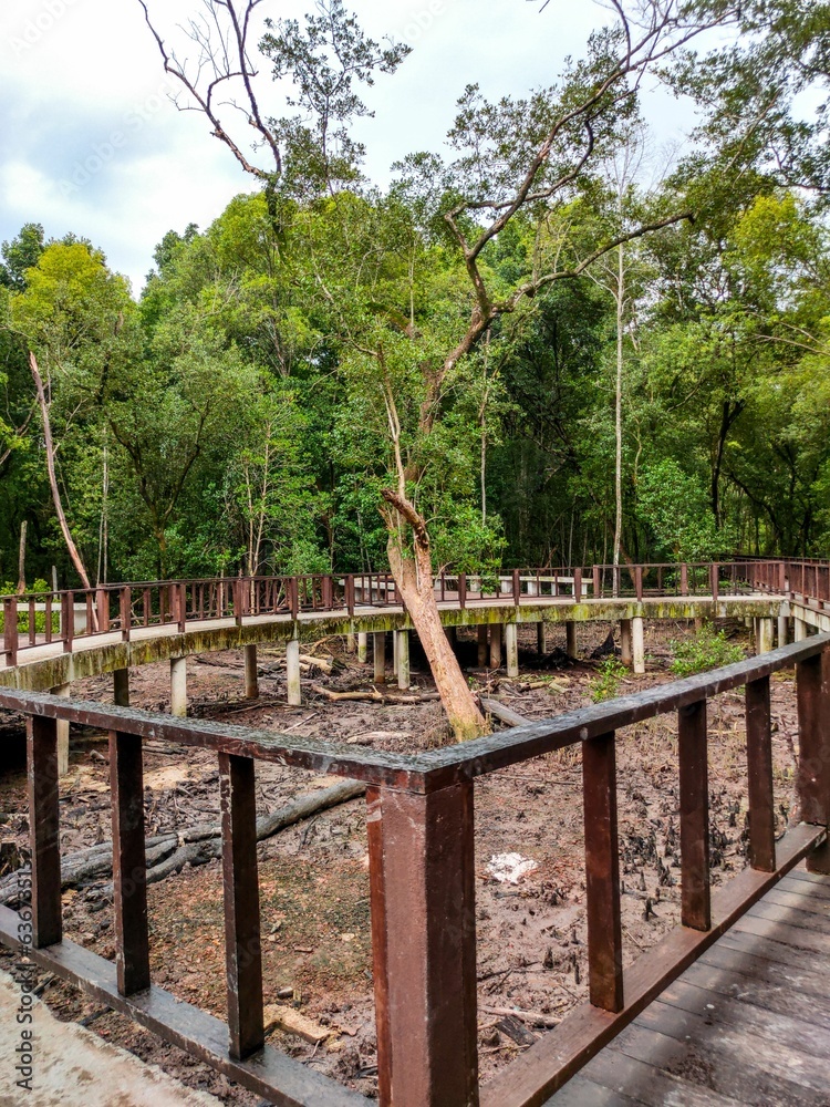 Wooden boardwalk leading to a secluded outdoor area in a mangrove forest in Klang Selangor, Malaysia