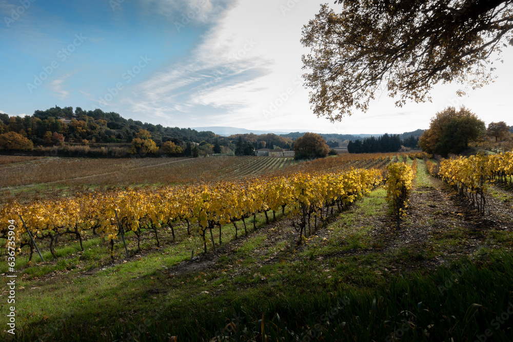 Naklejka premium Paysage du Beaujolais des pierres d'orées en automne.