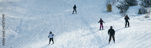 Group of skiers descending a snowy hill, surrounded by towering evergreens in Pennsylvania