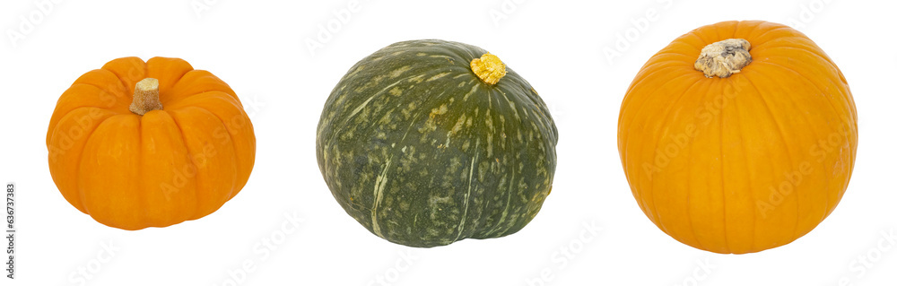 Différentes variétés de courges à consommer Différentes variétés de courges à consommer