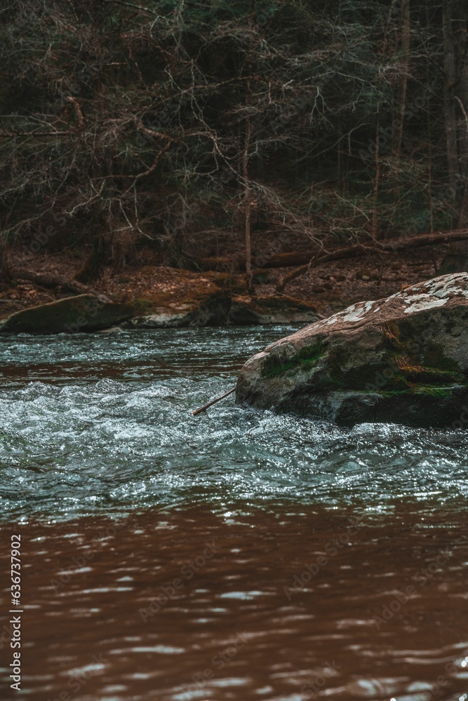 Tranquil stream running through a lush forest of tall trees and vibrant foliage in Pennsylvania. Tranquil stream running through a lush forest of tall trees and vibrant foliage in Pennsylvania.