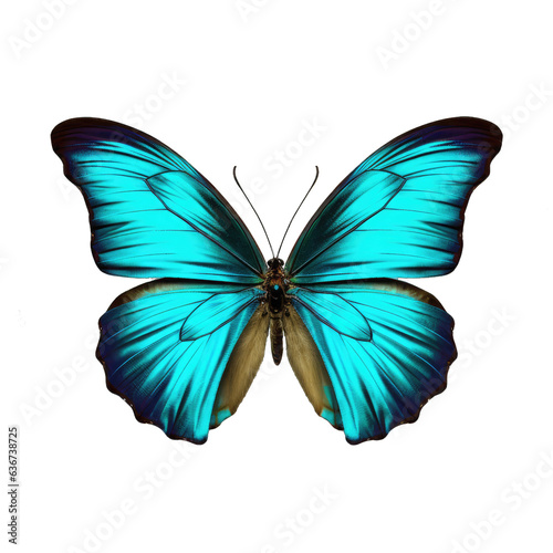 Multicolored butterfly for design. isolated on transparent background. Cyan butterfly © Neda Asyasi