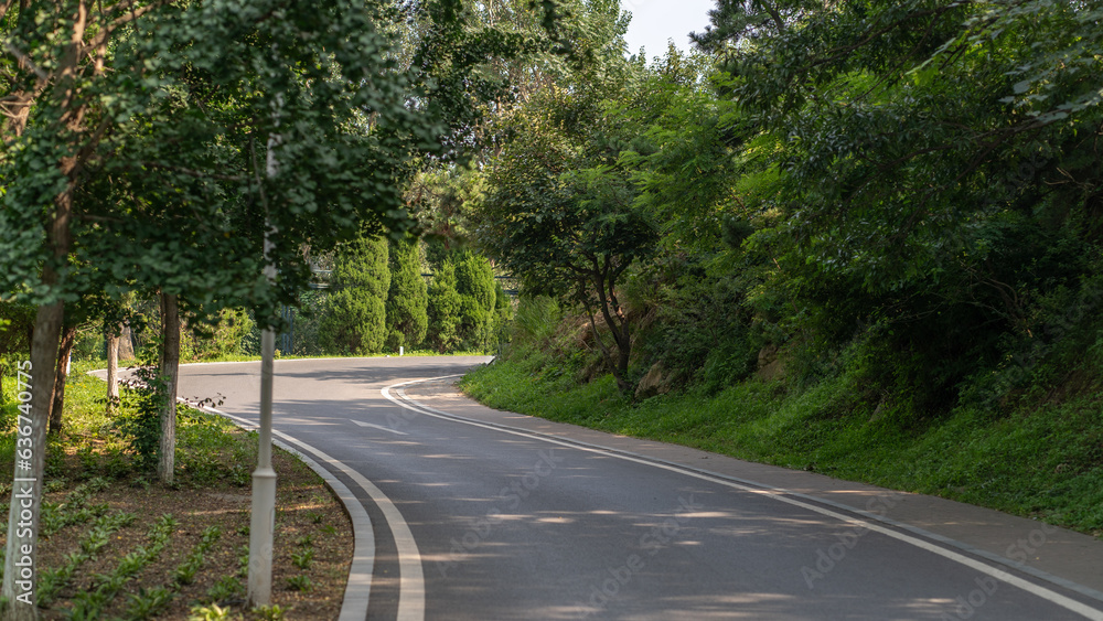 Empty curved road in the park