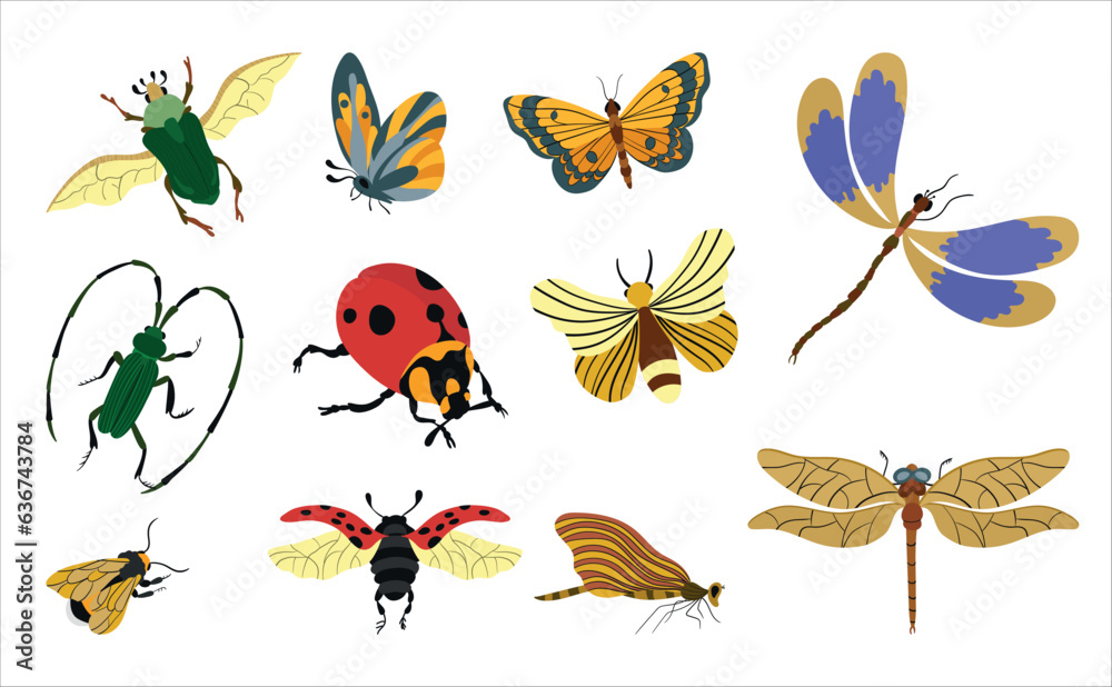 Obraz premium Vector illustration of various insects