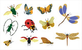Vector illustration of various insects