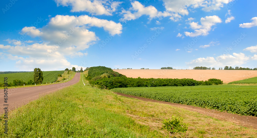 Agricultural fields and paved road. Wide photo.