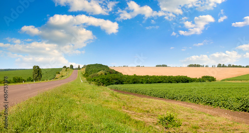 Agricultural fields and paved road. Wide photo.