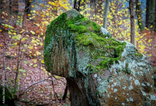 Mossy rock in autumn forest