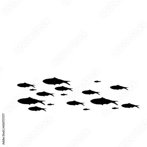 Silhouette of group of sea fishes