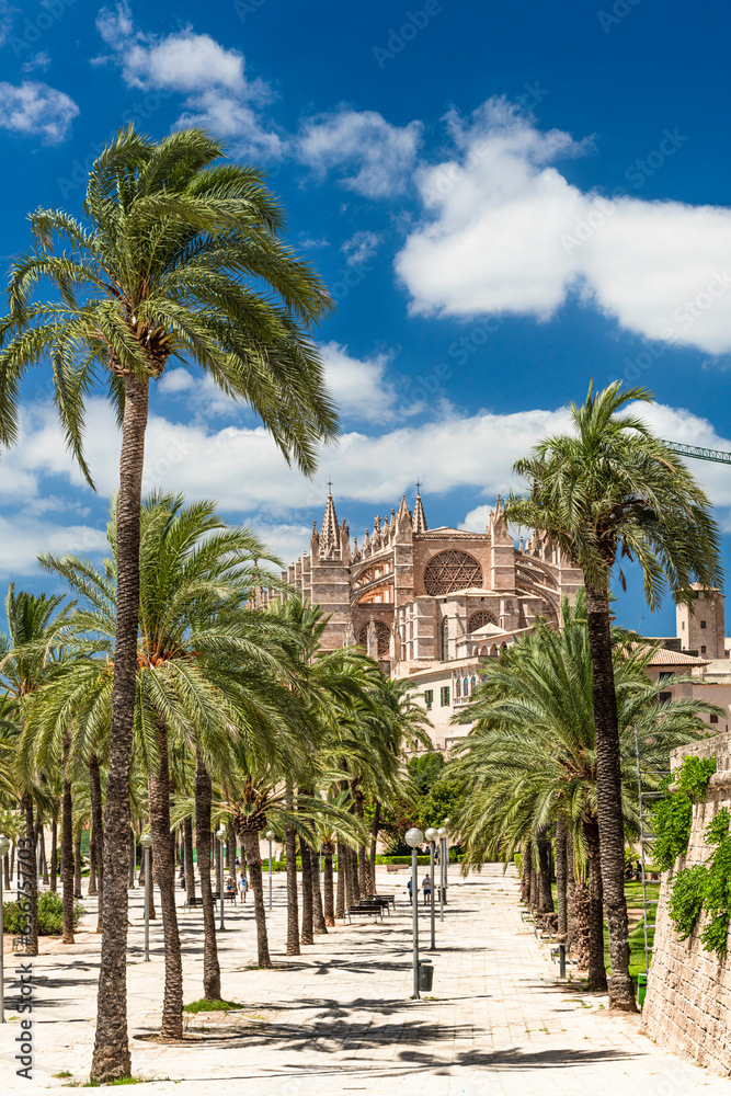 Parc de la Mar with La Seu Cathedral - Palma de Mallorca - 8739