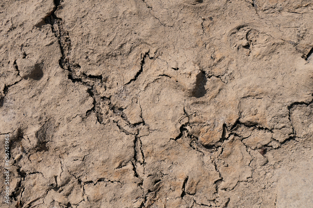 Parched, cracked riverbed during drought in Portugal. Top down view.