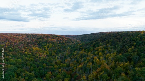 Beautiful high-angle view of a bright-colored autumn foliage in the mountains