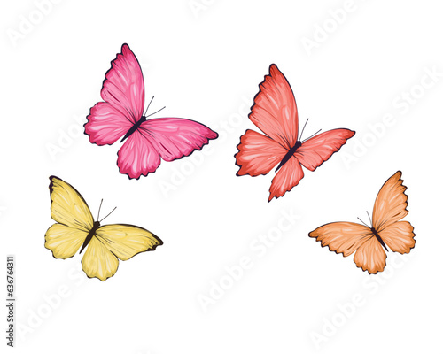 colorful butterflies isolated on white © ulucsevda