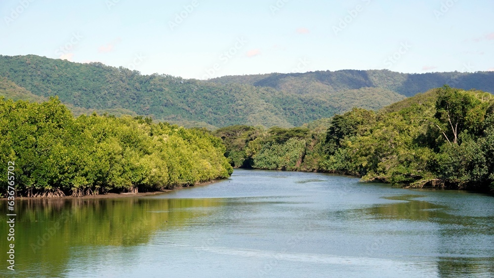 Aerial shot of a tranquil lake surrounded by lush greenery and  hills in the background