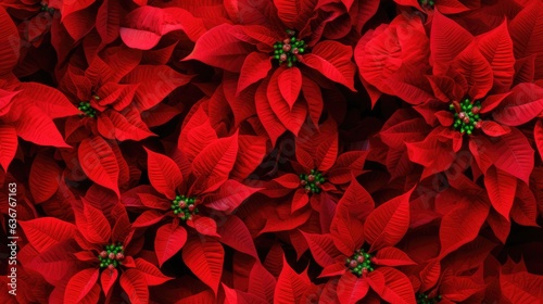 A closeup of the blossomed beautiful seamless red poinsettia flowers created with Generative AI technology.