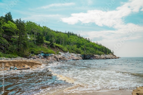Scenic view of the beach covered with green pine trees in Acadia National Park, Maine