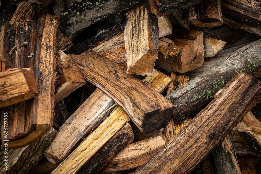 Stack of wood logs leaning against a bush in an outdoor setting Stack of wood logs leaning against a bush in an outdoor setting