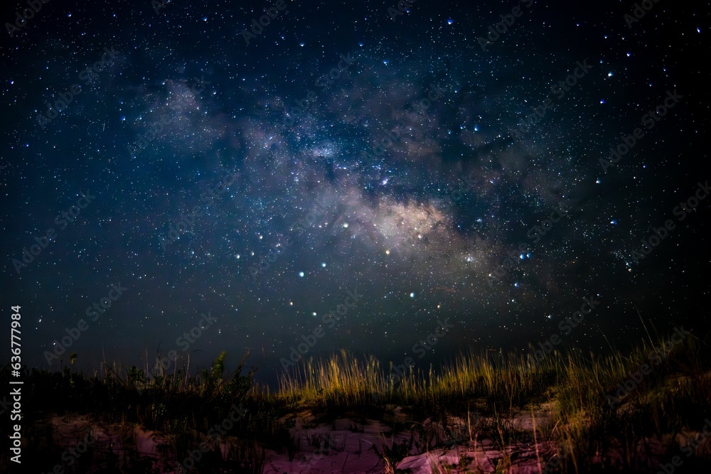 Fototapeta premium Beautiful night sky illuminated with stars and Milky Way galaxy, over a sandy beach dune