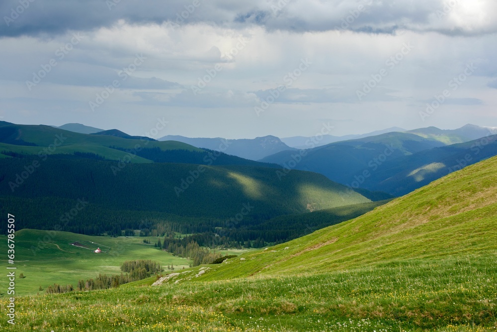 Scenic landscape featuring lush green grass in the foreground and the distant Carpathian mountains