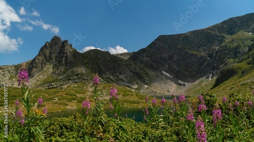 Φωτογραφία Landscape with verdant green fields and flowers in the Seven Rila lakes National Park in Bulgaria