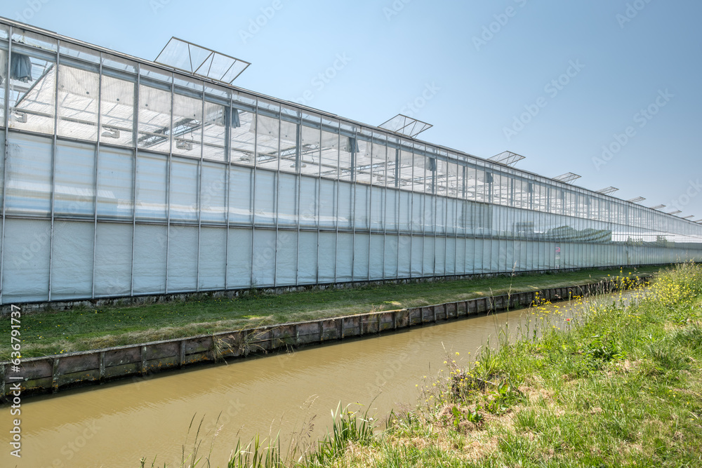 Perspective view of a modern industrial greenhouse in the Westland, the Netherlands. Westland is a region in of the Netherlands.