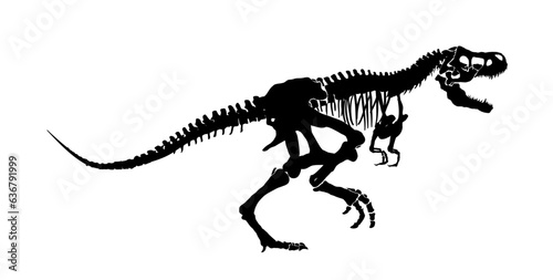 tyrannosaurus rex skeleton i 