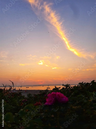 Wallpaper Mural beautiful sunset on the beach in Rewa, Poland Torontodigital.ca