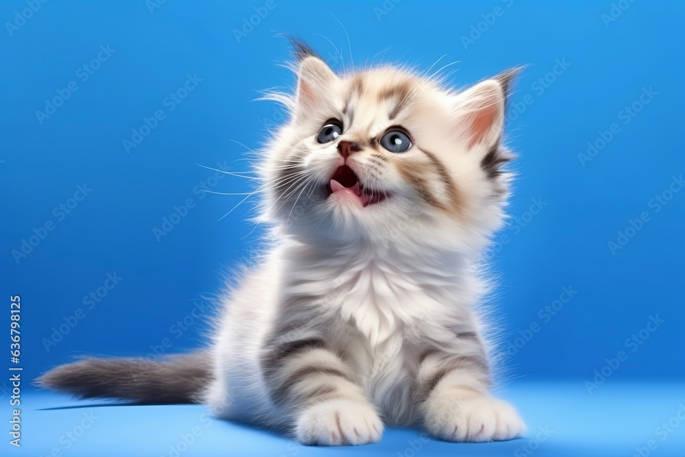Cute kittens running, jumping, and sitting poses with fun expressions on a blue simple background. Animal concept suitable for cats and pets.