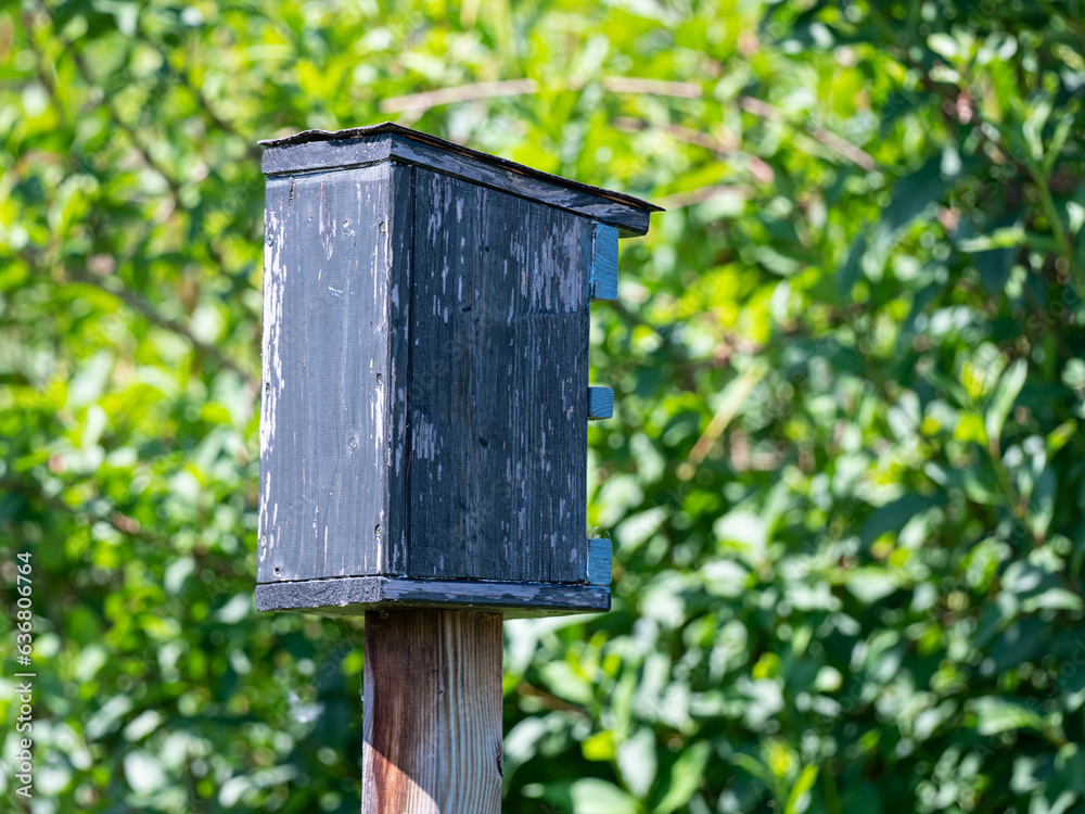 a bird house, incubator in the garden. a bird house, incubator in the garden.