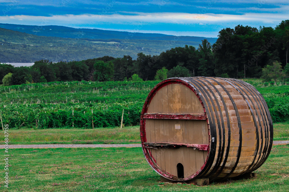 Fototapeta premium wine barrels in a vineyard
