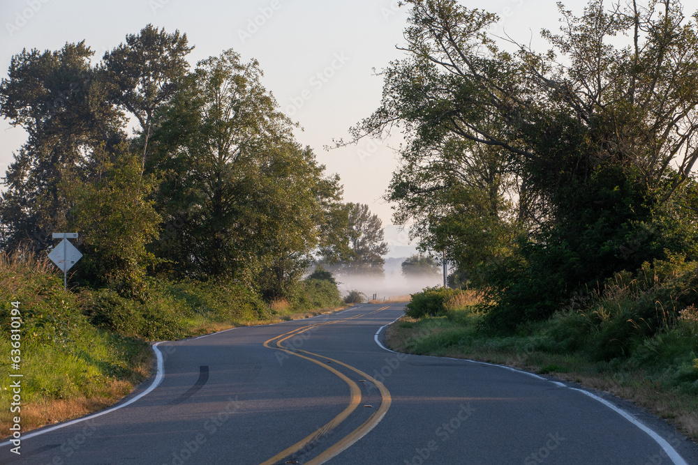 Fototapeta premium Homeacres road winding into the misty morning fog