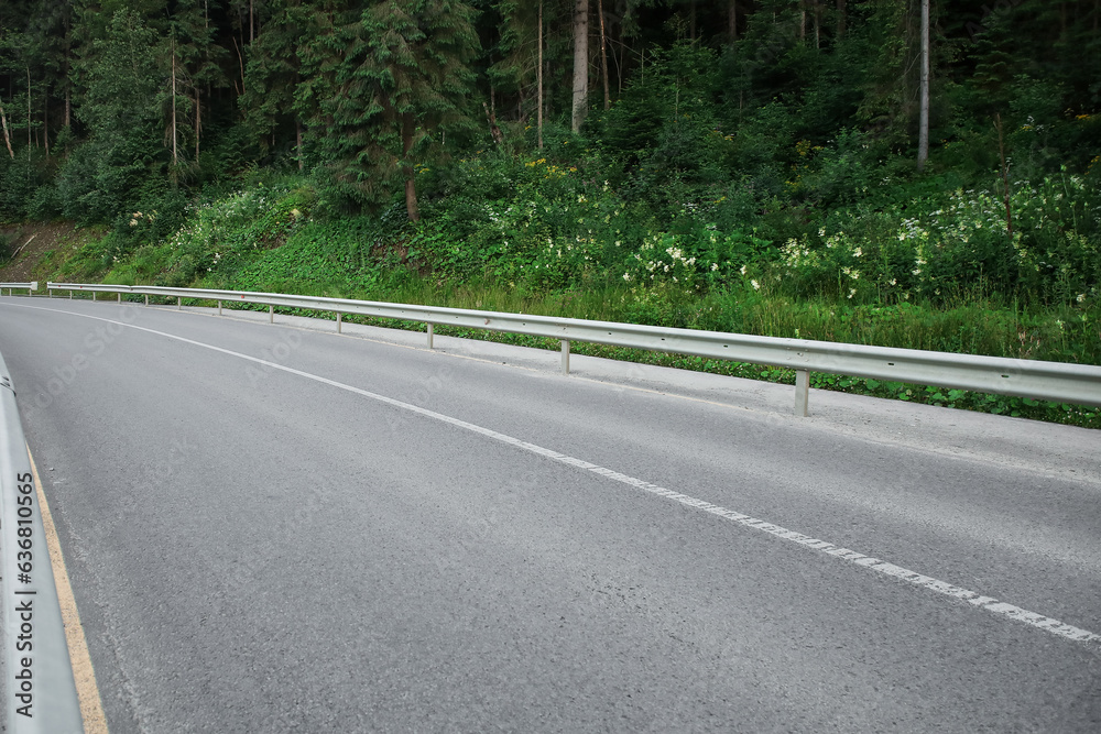 Fototapeta premium Asphalt road in green forest