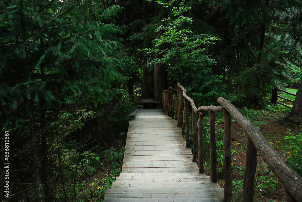 View of wooden walkway in green forest