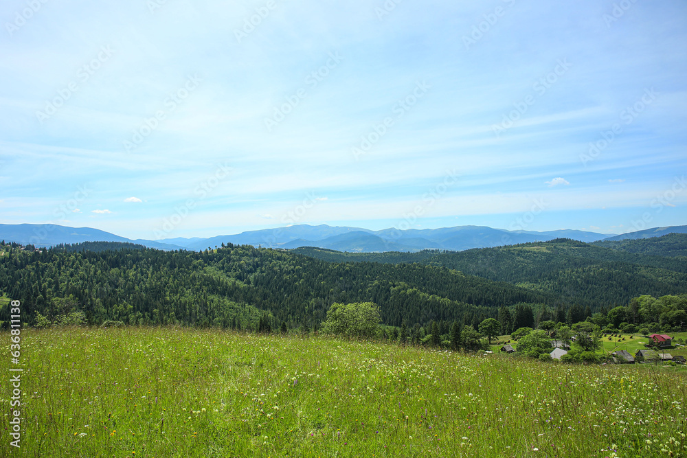 Mountain landscape with meadow and forest in Carpathians, Ukraine