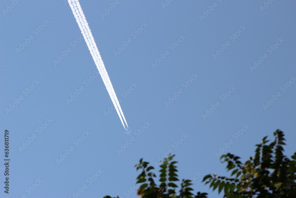 Plane passing overhead across a clear blue sky, on a gorgeous, sunny day