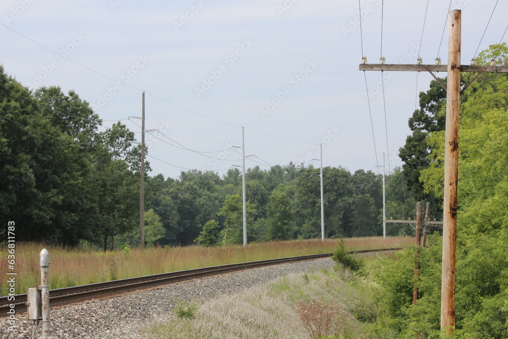 Railway through the meadow and wood, lined with powerlines