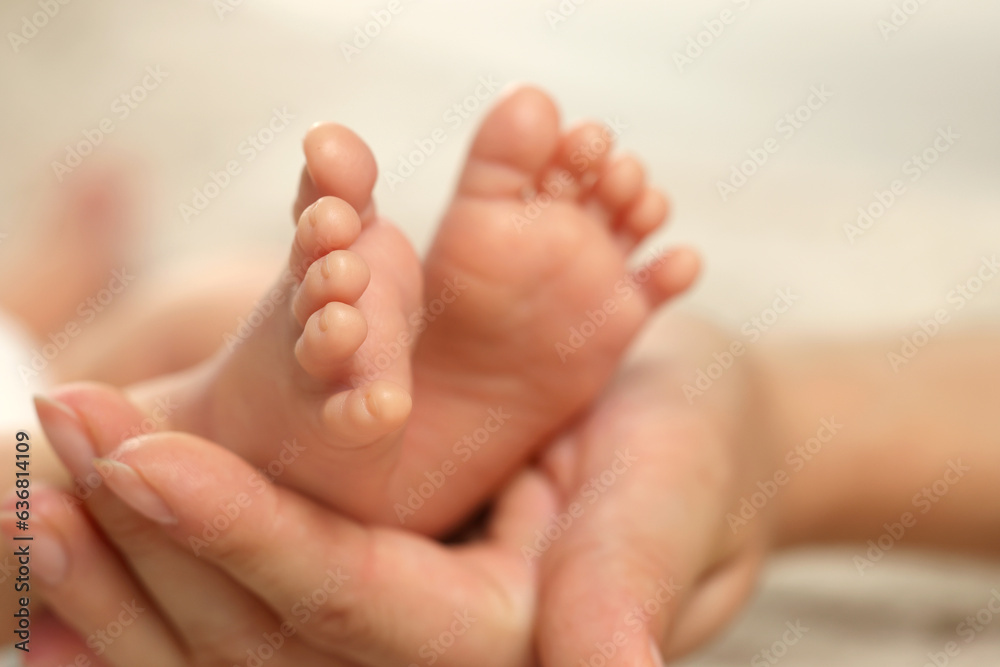Mother holding her newborn baby, closeup view on feet. Lovely family Mother holding her newborn baby, closeup view on feet. Lovely family