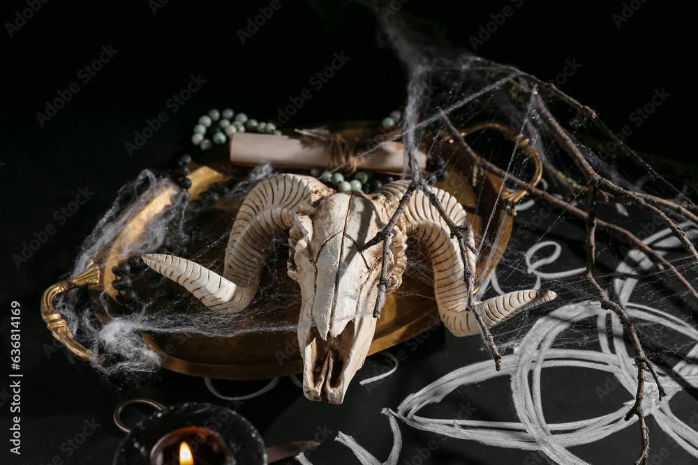 Witch's magic attributes with goat skull on dark background, closeup