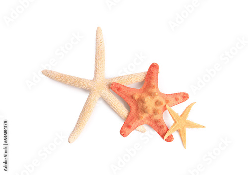 Many beautiful sea stars (starfishes) isolated on white, top view